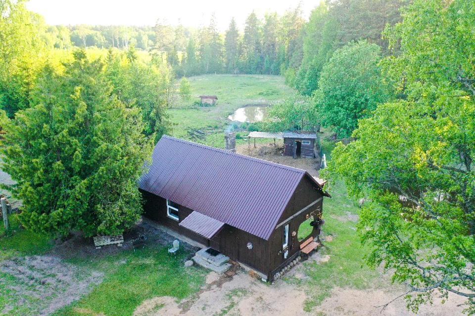 Private Farm Jakuzzi Sauna In The Forest Talsi Exterior foto