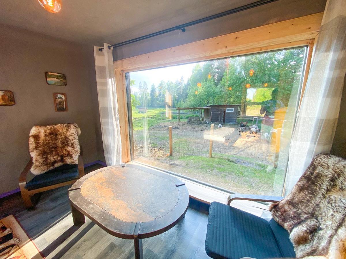 Private Farm Jakuzzi Sauna In The Forest Talsi Exterior foto