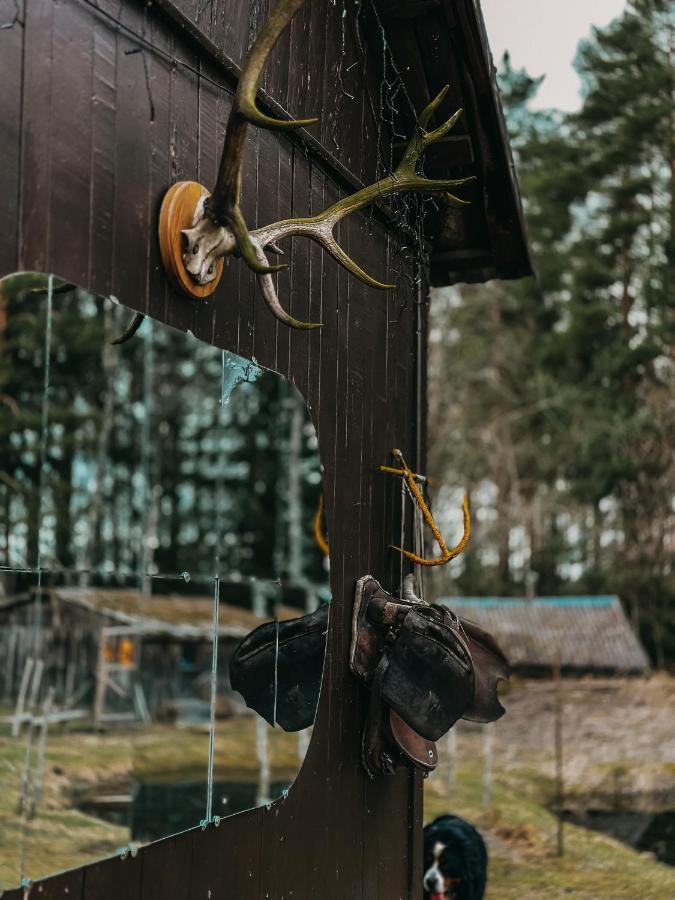 Private Farm Jakuzzi Sauna In The Forest Talsi Exterior foto