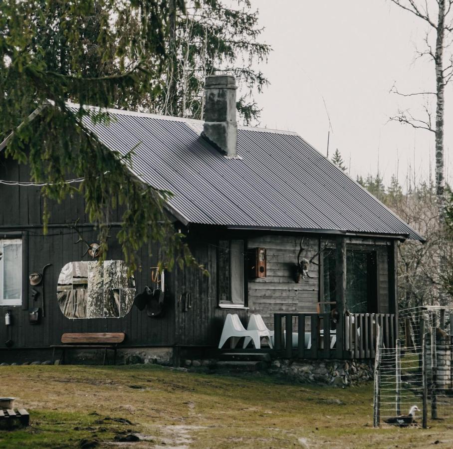 Private Farm Jakuzzi Sauna In The Forest Talsi Exterior foto